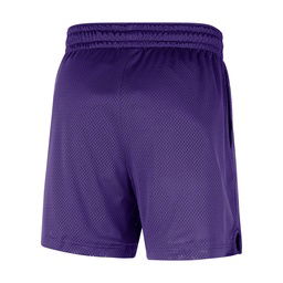 Los Angeles Lakers NBA Erkek Mor Basketbol Şort FQ3393-504