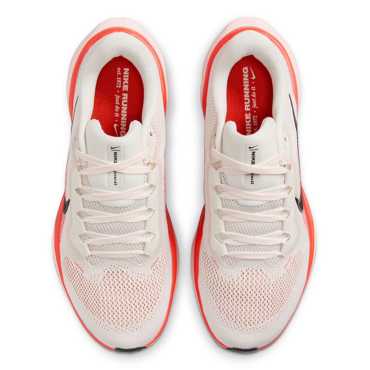 Air Zoom Pegasus 41 Kadın Bej Koşu Ayakkabısı FD2723-011
