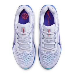 Air Winflo 11 Erkek Mor Koşu Ayakkabısı FJ9509-006