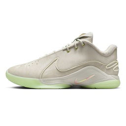 Lebron XXII NBA Erkek Gri Basketbol Ayakkabısı FZ1094-002
