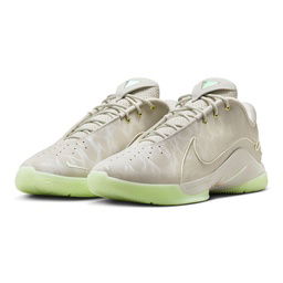 Lebron XXII NBA Erkek Gri Basketbol Ayakkabısı FZ1094-002